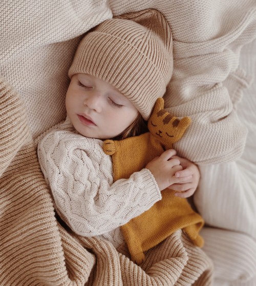 Knit cuddle cloth  |  tiger 2