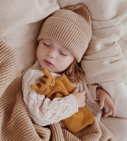 Knit cuddle cloth  |  tiger