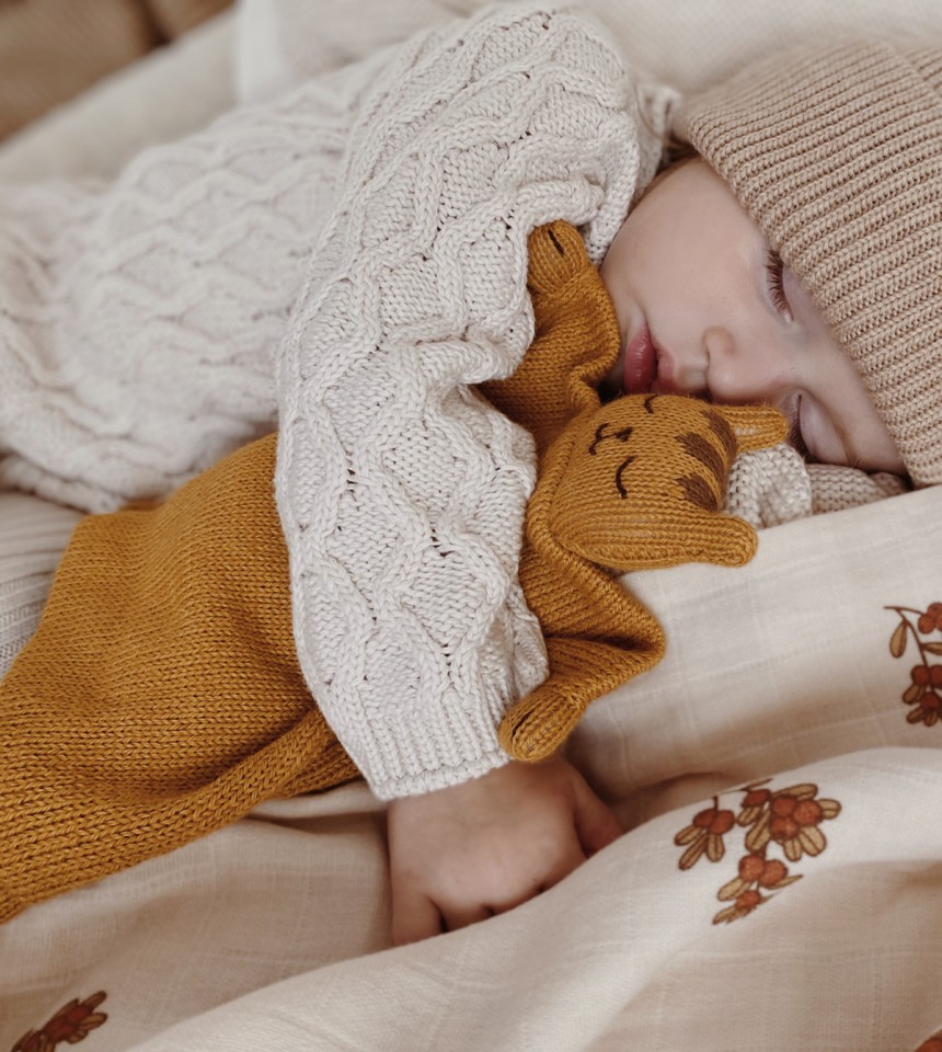 Knit cuddle cloth  |  tiger
