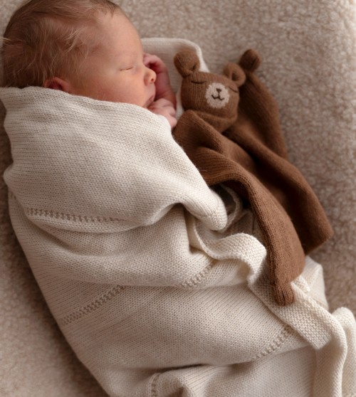 Knit cuddle cloth  | teddy nut