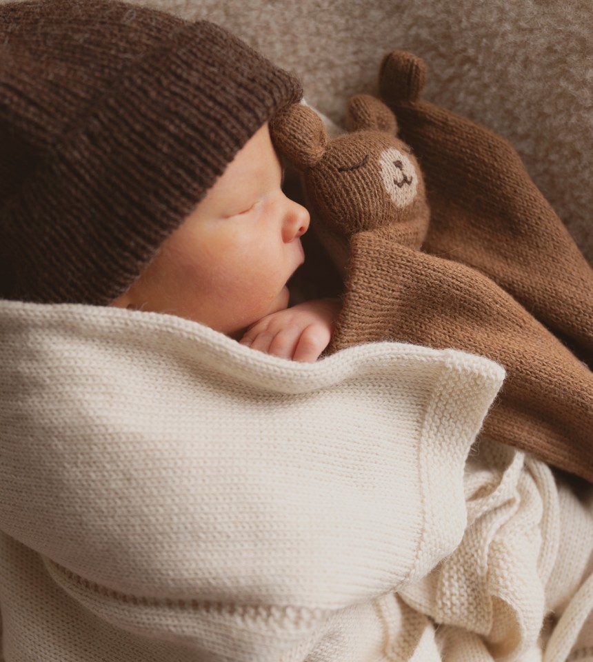 Knit cuddle cloth  | teddy nut