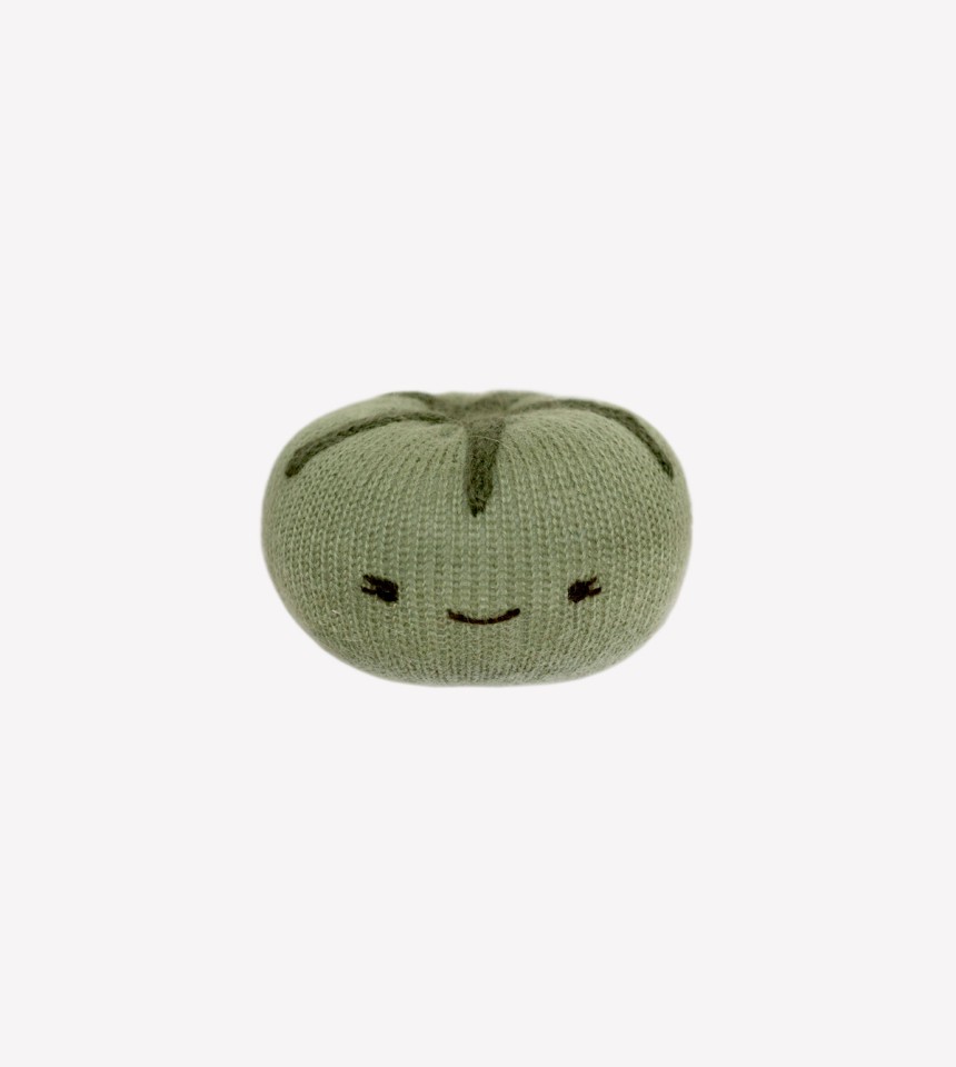 Hochet tomate | verte