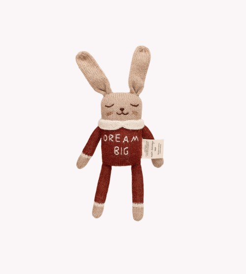 "Dream big" knitted bunny...