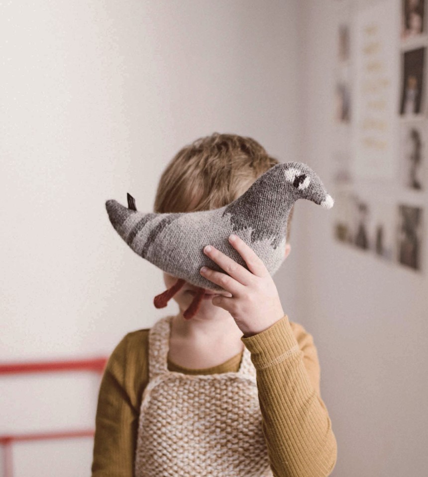 Pigeon knit toy