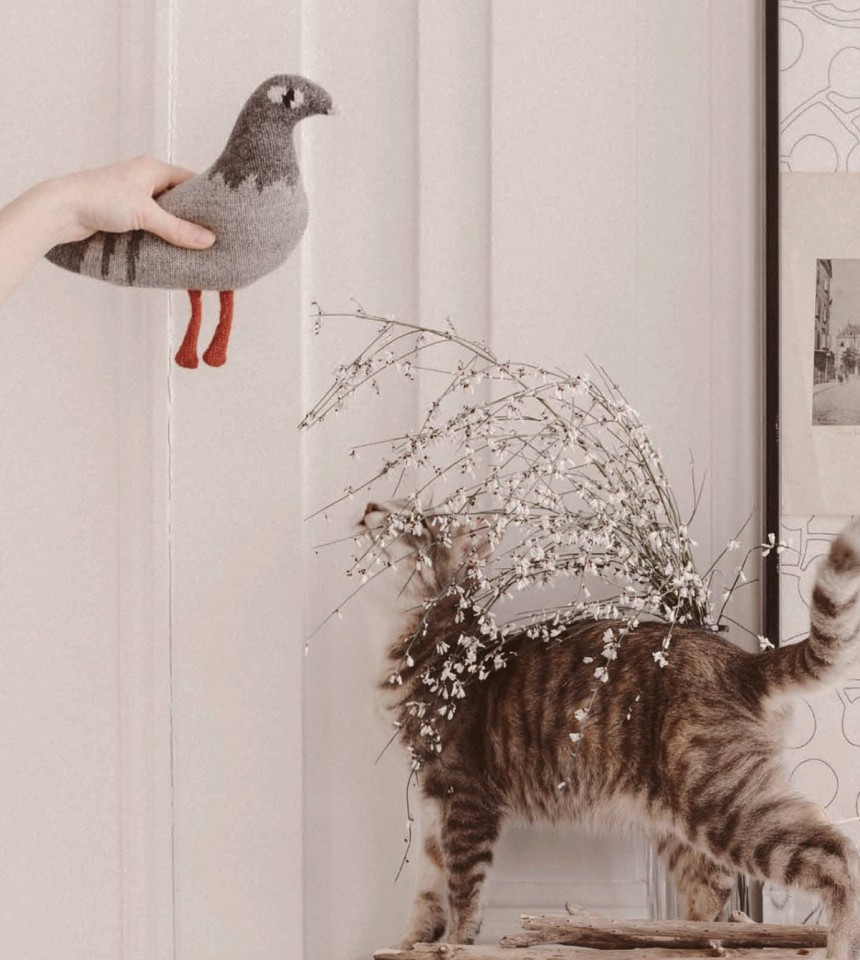 Pigeon knit toy