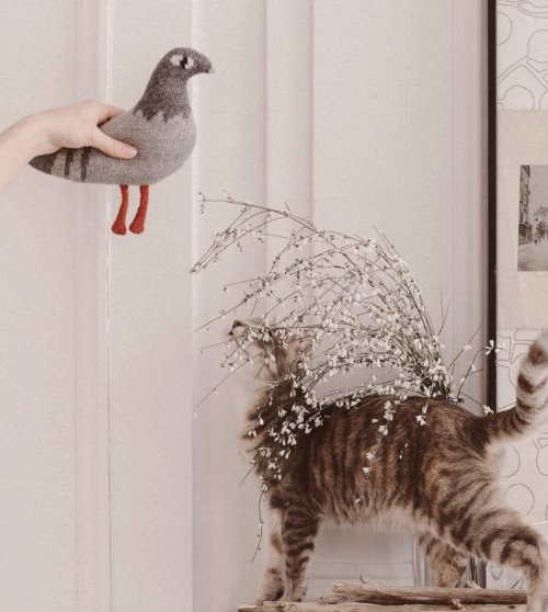Pigeon knit toy