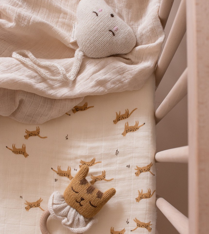 Hochet nuage à suspendre