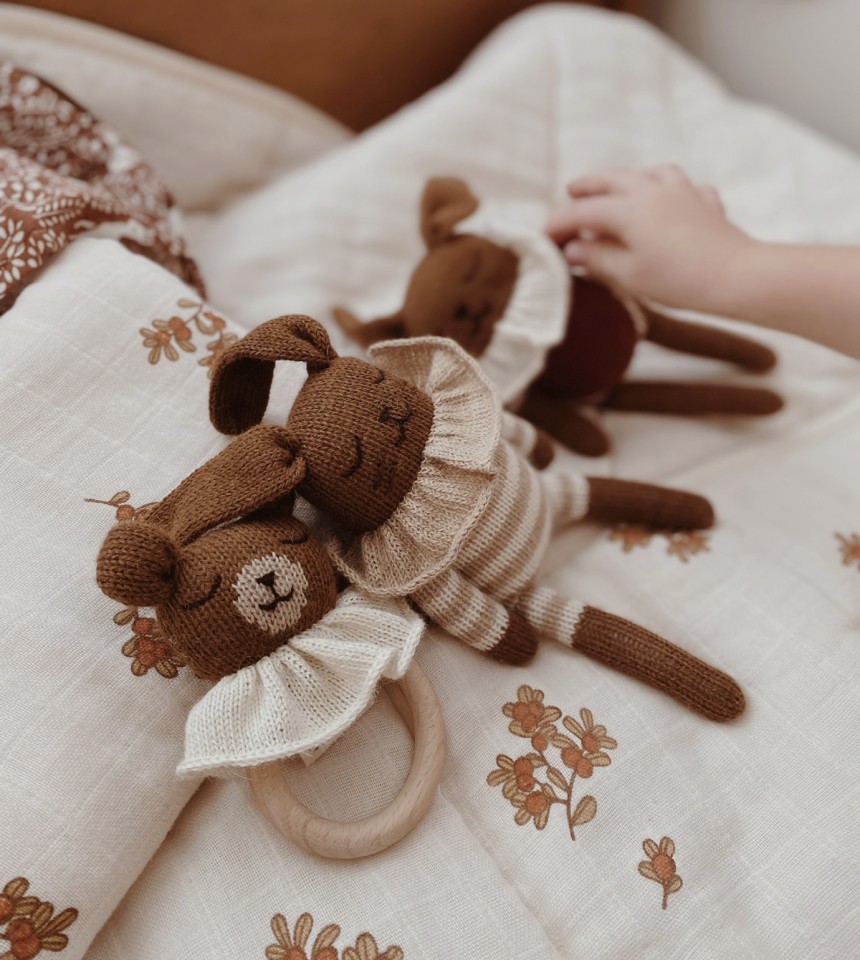 Teething ring | teddy nut